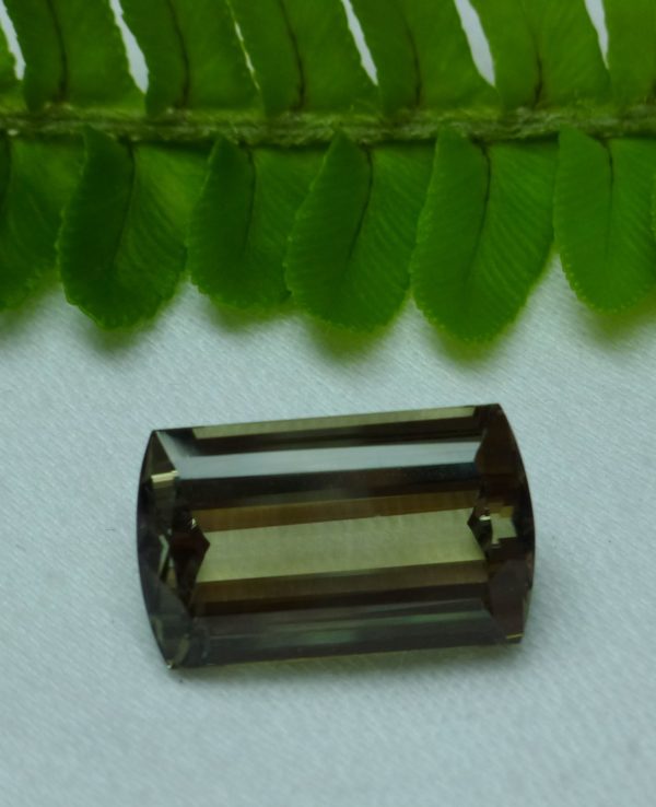 15.61 cts. Zultanite® Artsy Cushion Baguette 18x11mm - Image 3