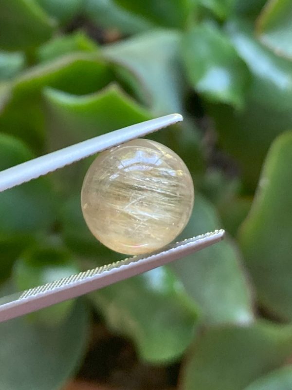 6.00 cts. Zultanite® Cabochon Round 10.5 mm - Image 4